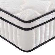 Loren Williams Chiro Collective Posture Care Plus Mattress