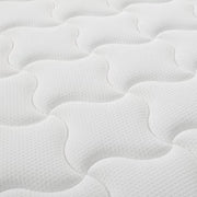 Loren Williams Chiro Collective Posture Care Plus Mattress