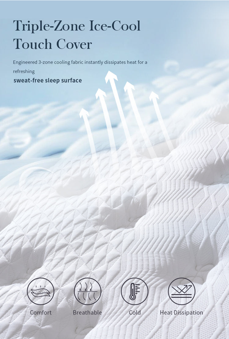 Dream Haven Plush Mattress