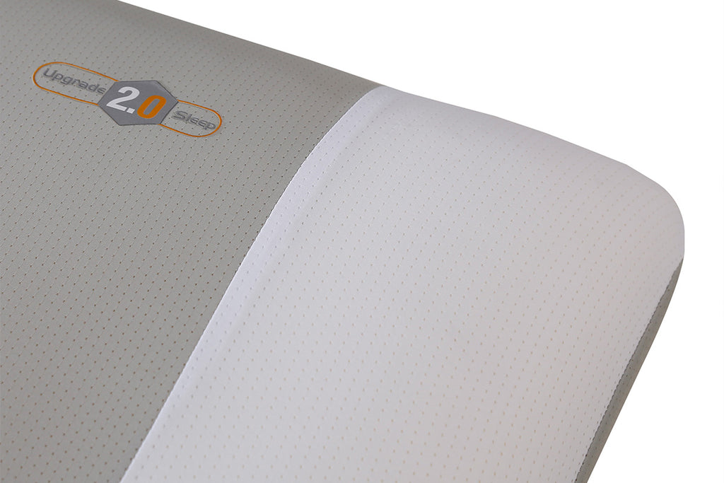 Bio-Soy Standard Pillow