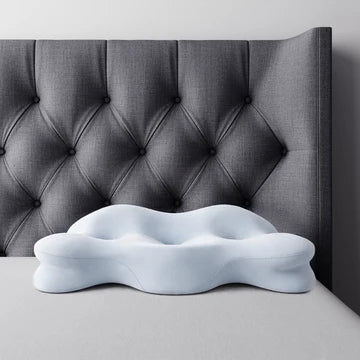 Ergo Balance Pillow