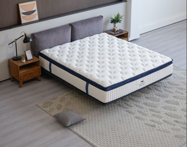 Sleep Heaven Orthopedic Plush Mattress (Boxed mattress)