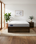 Domino Euphoric Medium Mattress by A.H.Beard